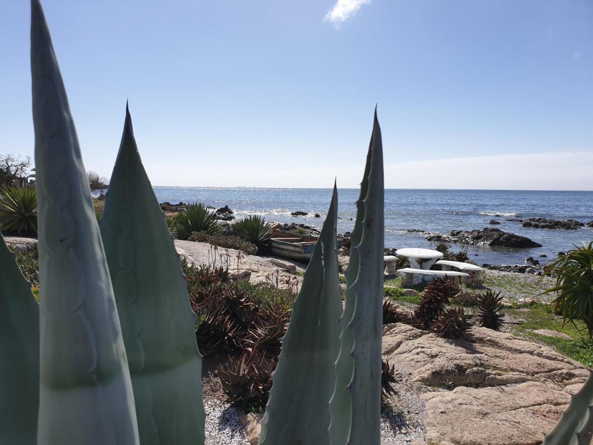 Westbed Langebaan Exterior foto